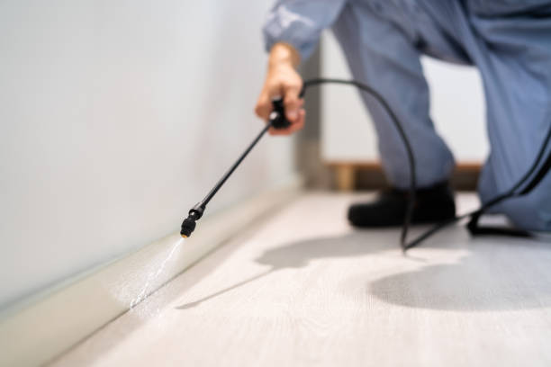 Licensed Cockroach Control service in Vincent, AL - Nex Pest Control