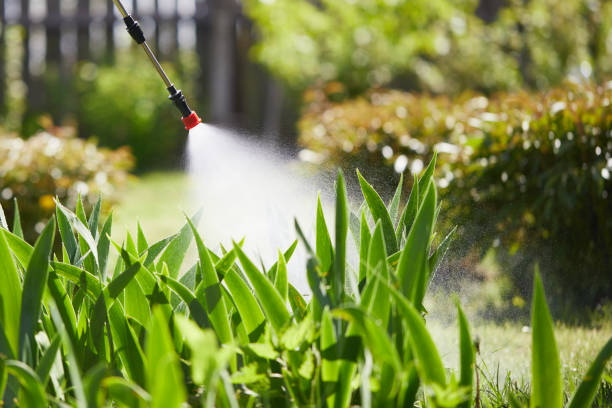 24/7 Emergency Cockroach Control experts in Vincent, AL