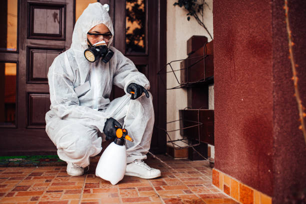 Reliable Cockroach Control contractor in Vincent, AL by Nex Pest Control