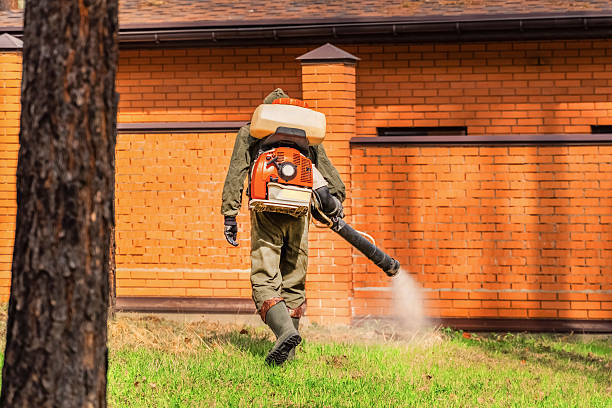 Top rated local Cockroach Control specialists in Vincent, AL